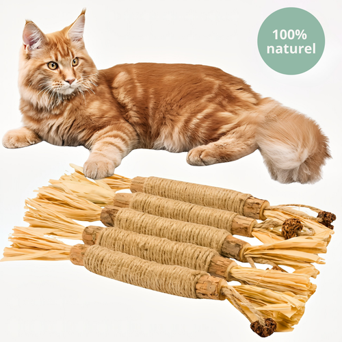 Purrsticks™ - Bâtonnets dentaires naturels au matatabi