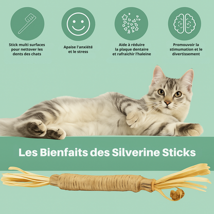 Purrsticks™ - Bâtonnets dentaires naturels au matatabi