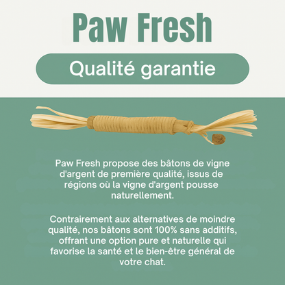 Purrsticks™ - Bâtonnets dentaires naturels au matatabi