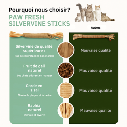 Purrsticks™ - Bâtonnets dentaires naturels au matatabi