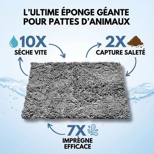 Tapis CleanPattoune™