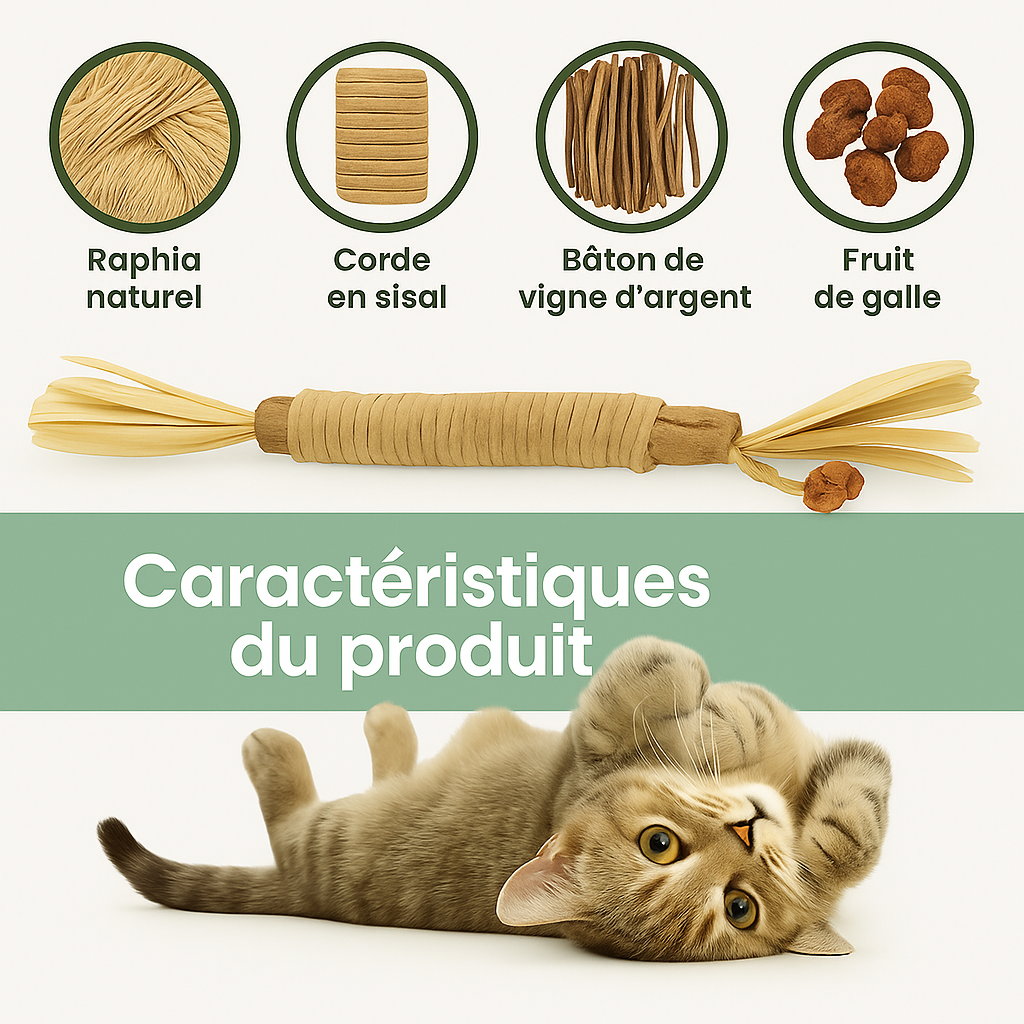Purrsticks™ - Bâtonnets dentaires naturels au matatabi