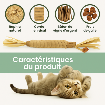 Purrsticks™ - Bâtonnets dentaires naturels au matatabi