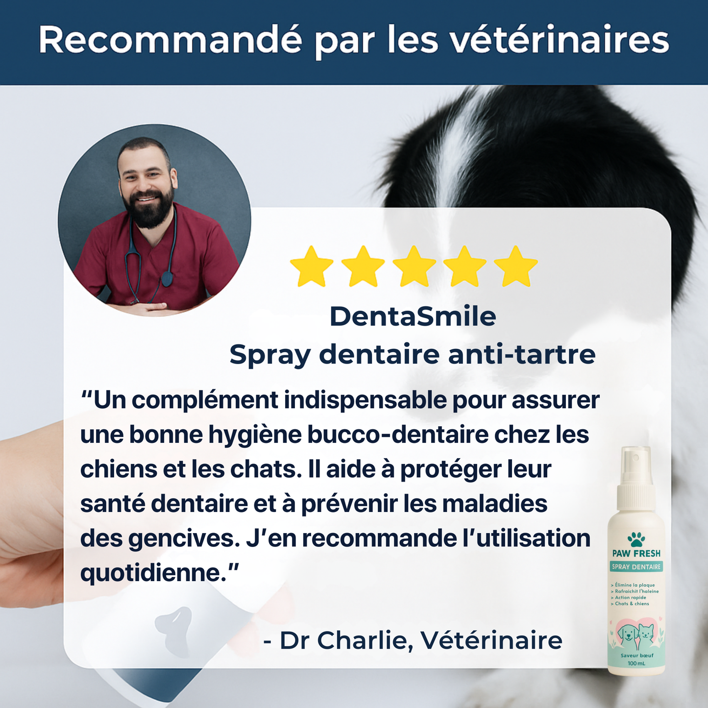 DentaSmile™ - Élimine le tartre en 90 jours