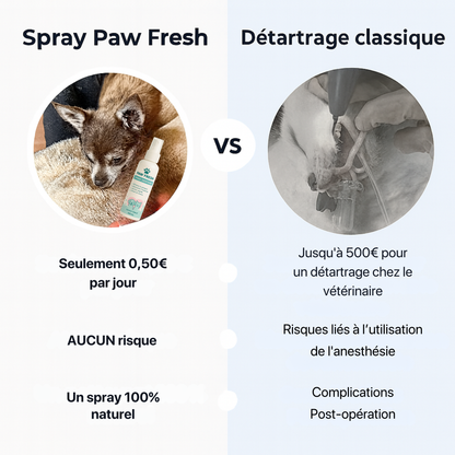 DentaSmile™ - Élimine le tartre en 90 jours