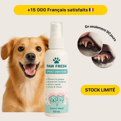 DentaSmile™ - Élimine le tartre en 90 jours