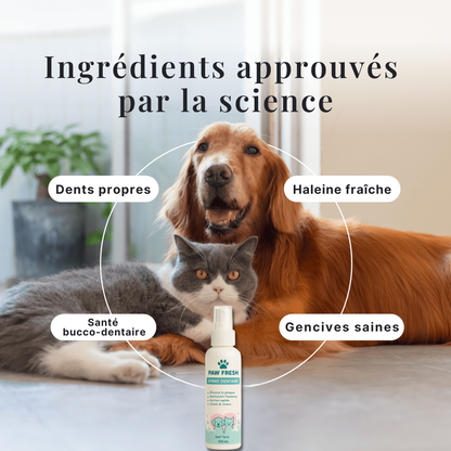 DentaSmile™ - Élimine le tartre en 90 jours