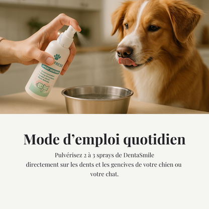 DentaSmile™ - Élimine le tartre en 90 jours