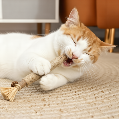 Purrsticks™ - Bâtonnets dentaires naturels au matatabi